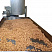 SugarLips 100 with Cooling Table