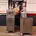 caramelizer popcorn, Popcorn machine, Vegan Popcorn, Vortex Popcorn, industrial popcorn, caramelizer robo sugar, RoboSugar Auto 10, caramelizer robo sugar 10